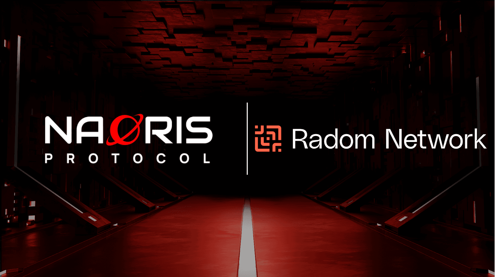 NaoX Protocol Partners with Radom Network, a Payment Infrastructure for the Decentralised Internet